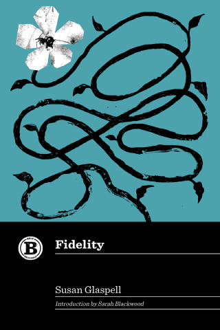 Imagen de portada: Fidelity 9781540270153