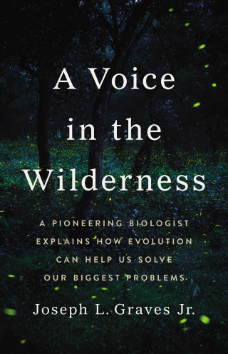 Cover image: A Voice in the Wilderness 9781541600713