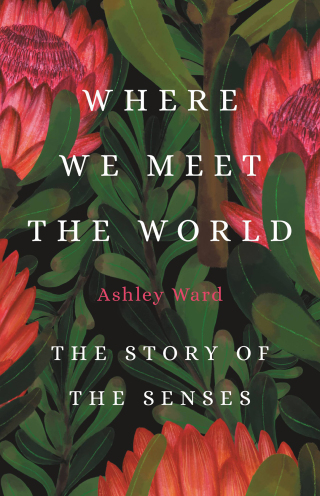 Cover image: Where We Meet the World 9781541600850