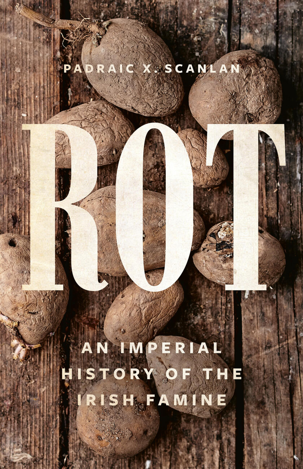 Rot An Imperial History of the Irish Famine