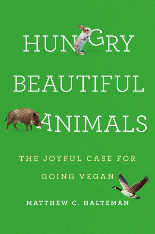 Cover image: Hungry Beautiful Animals 9781541602052
