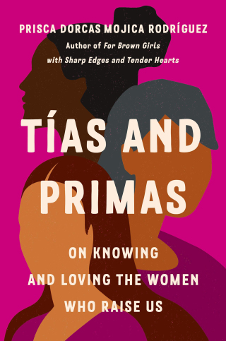 Cover image: Tías and Primas 9781541603950