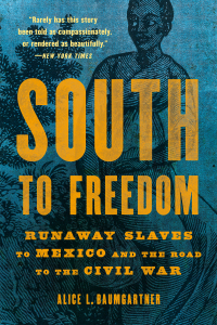 Cover image: South to Freedom 9781541617780