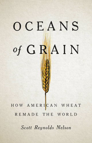 Cover image: Oceans of Grain 9781541646469