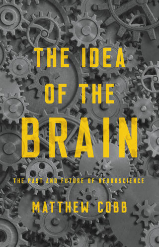 Cover image: The Idea of the Brain 9781541646858