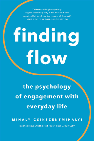 Cover image: Finding Flow 9780465045136