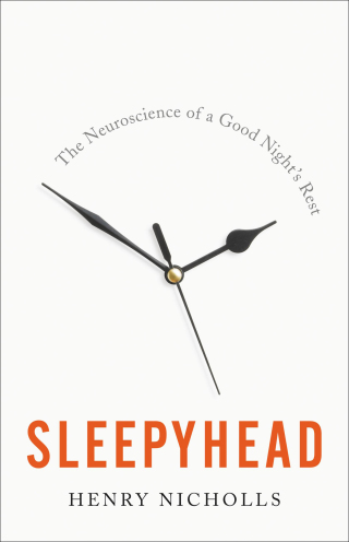 Cover image: Sleepyhead 9781541672567