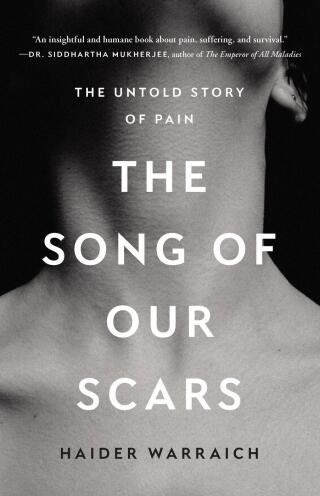 Cover image: The Song of Our Scars 9781541675308