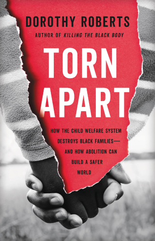 Cover image: Torn Apart 9781541675445