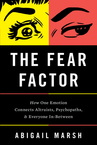 Cover image: The Fear Factor 9781541697201