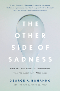 Cover image: The Other Side of Sadness 9780465013609