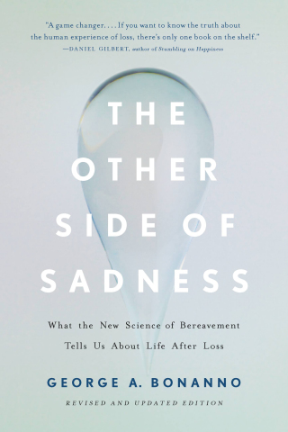 Cover image: The Other Side of Sadness 9780465013609