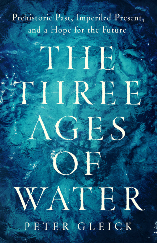 Cover image: The Three Ages of Water 9781541702271