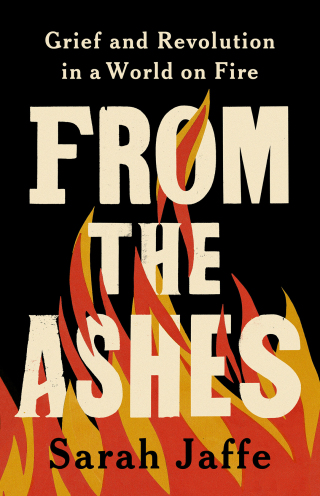 Cover image: From the Ashes 9781541703490