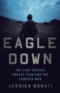 Cover image: Eagle Down 9781541762558