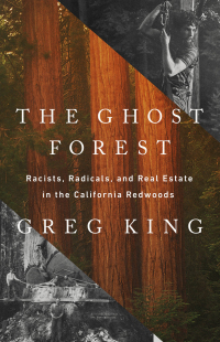 Cover image: The Ghost Forest 9781541768673