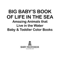 Omslagafbeelding: Big Baby's Book of Life in the Sea: Amazing Animals that Live in the Water - Baby & Toddler Color Books 9781683266723