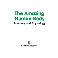 Imagen de portada: The Amazing Human Body | Anatomy and Physiology 9781541903999