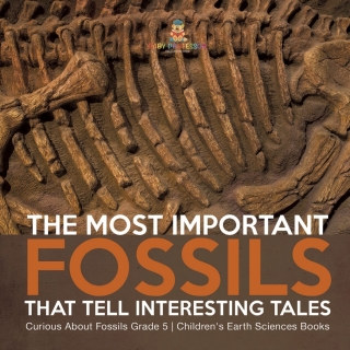 Cover image: The Most Important Fossils That Tell Interesting Tales | Curious About Fossils Grade 5 | Children's Earth Sciences Books 9781541954052