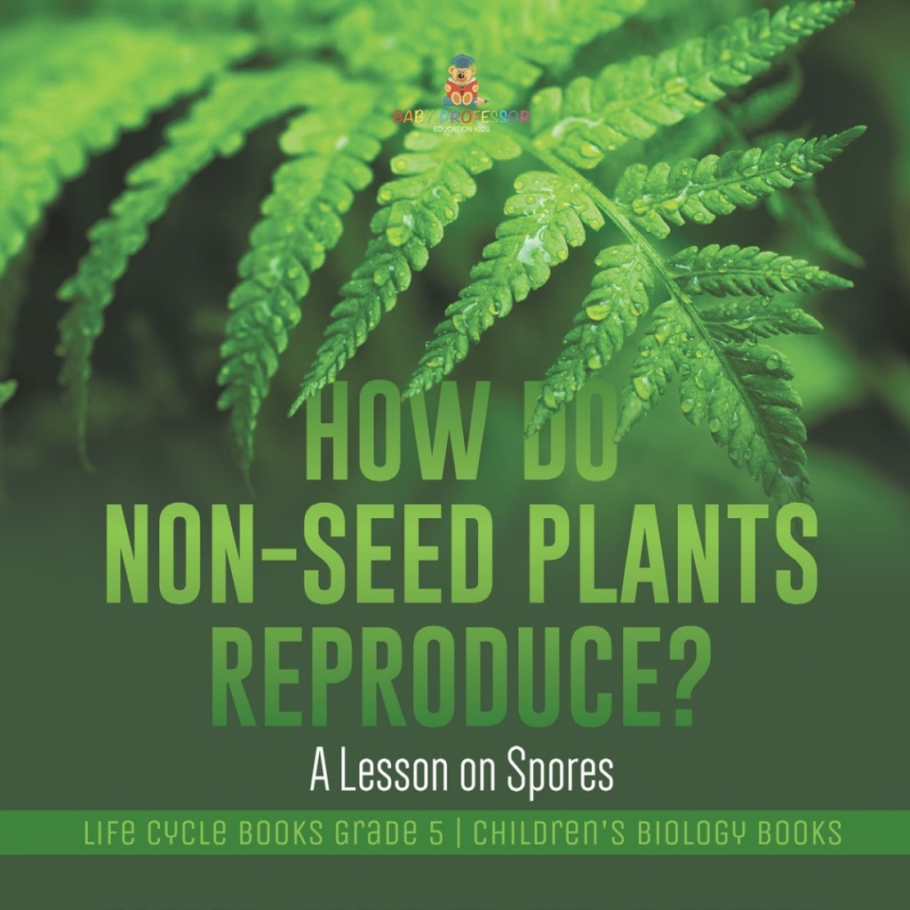 How Do Non-Seed Plants Reproduce? A Lesson on Spores | Life Cycle Books Grade 5 | Children’s Biology Books