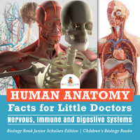 صورة الغلاف: Human Anatomy Facts for Little Doctors : Nervous, Immune and Digestive Systems | Biology Book Junior Scholars Edition | Children's Biology Books 9781541965126