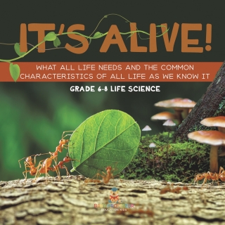 Cover image: It's Alive! What All Life Needs and the Common Characteristics of All Life as We Know It | Grade 6-8 Life Science 9781541990852