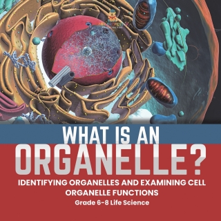 Cover image: What is an Organelle? Identifying Organelles and Examining Cell Organelle Functions | Grade 6-8 Life Science 9781541990920
