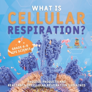 Cover image: What is Cellular Respiration? Process, Products and Reactants of Cellular Respiration Explained | Grade 6-8 Life Science 9781541990968