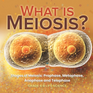 Cover image: What is Meiosis? Stages of Meiosis, Prophase, Metaphase, Anaphase and Telophase | Grade 6-8 Life Science 9781541990982