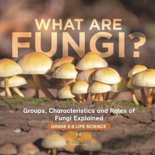 Imagen de portada: What are Fungi? Groups, Characteristics and Roles of Fungi Explained | Grade 6-8 Life Science 9781541991156