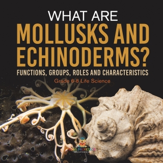 Cover image: What are Mollusks and Echinoderms? Functions, Groups, Roles and Characteristics | Grade 6-8 Life Science 9781541991231