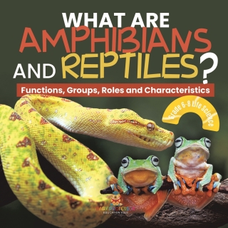Cover image: What are Amphibians and Reptiles? Functions, Groups, Roles and Characteristics | Grade 6-8 Life Science 9781541991262