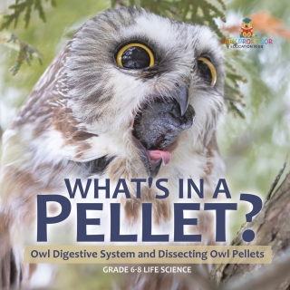 Cover image: What's in a Pellet? Owl Digestive System and Dissecting Owl Pellets | Grade 6-8 Life Science 9781541991415