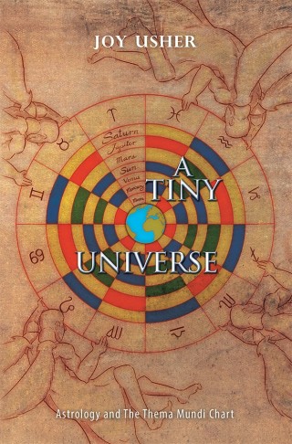 Cover image: A Tiny Universe 9781543403770