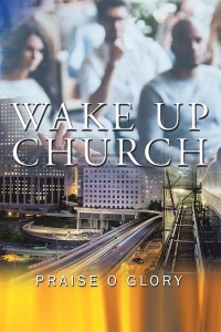 表紙画像: Wake up Church 9781543405989