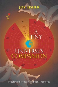 Cover image: A Tiny Universe’S Companion 9781543407020