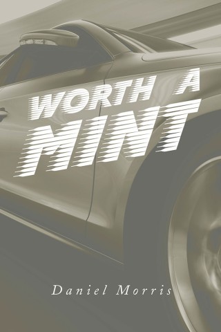 Cover image: Worth a Mint 9781543407396