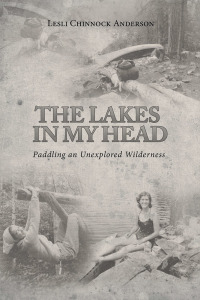 Cover image: The Lakes in My Head 9781543413366