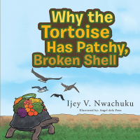 表紙画像: Why the Tortoise Has Patchy, Broken Shell 9781543415247