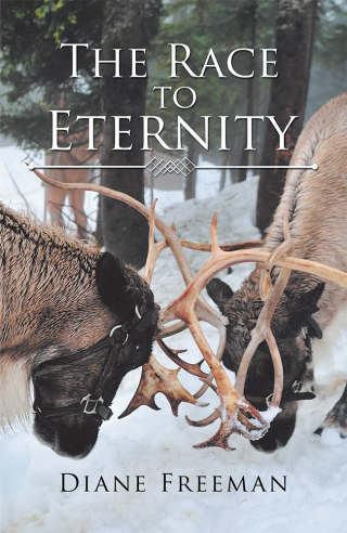 Cover image: The Race to Eternity 9781543426601