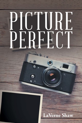 Omslagafbeelding: Picture Perfect 9781543450774