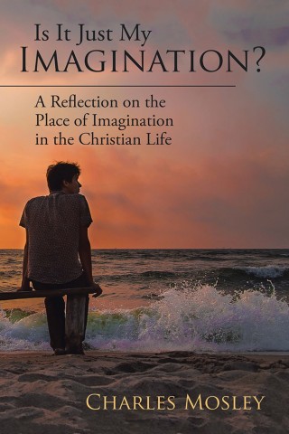 Cover image: Is It Just My Imagination? 9781543462005