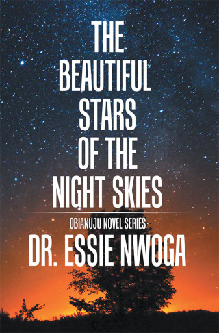 Imagen de portada: The Beautiful Stars of the Night Skies 9781543465297