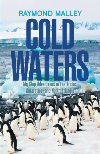 表紙画像: Cold Waters 9781543466539