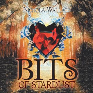 Cover image: Bits of Stardust 9781543473711