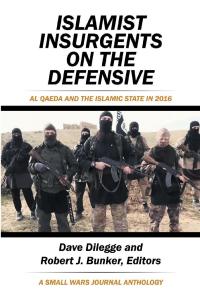 Imagen de portada: Islamist Insurgents on the Defensive 9781543478822