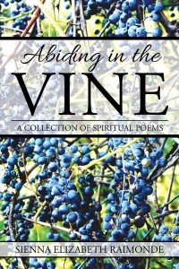 Cover image: Abiding in the Vine 9781543479300