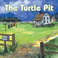 Cover image: The Turtle Pit 9781543482218