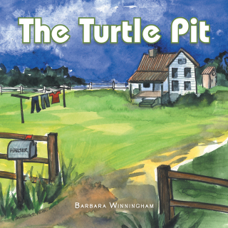 Omslagafbeelding: The Turtle Pit 9781543482218
