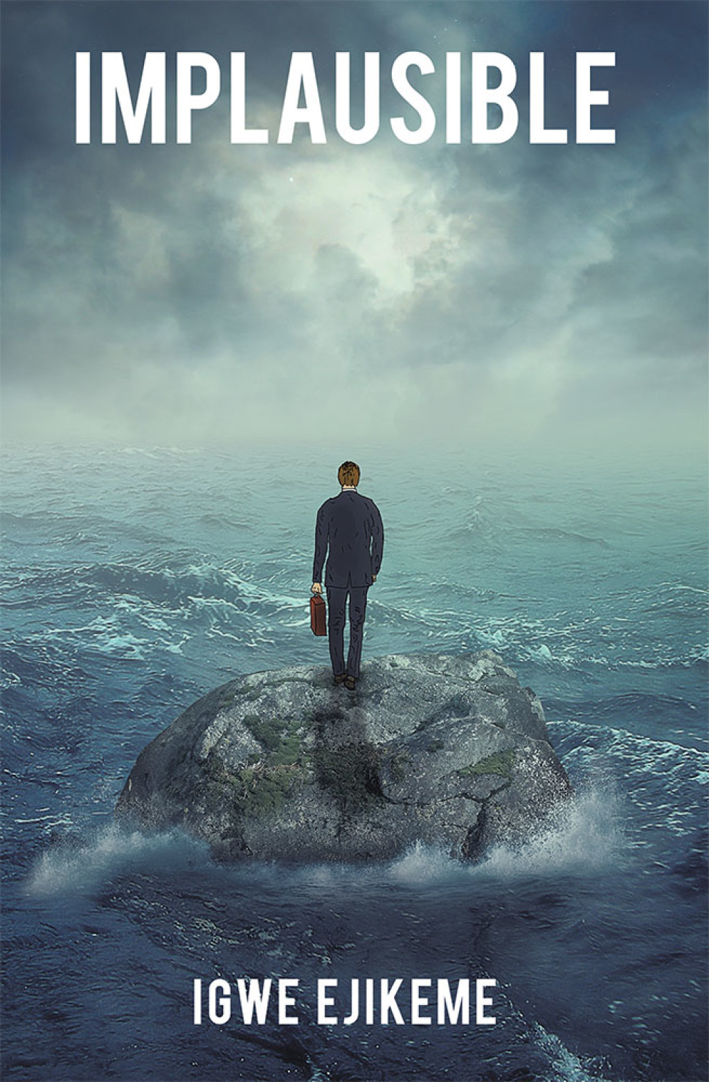 Implausible (eBook)